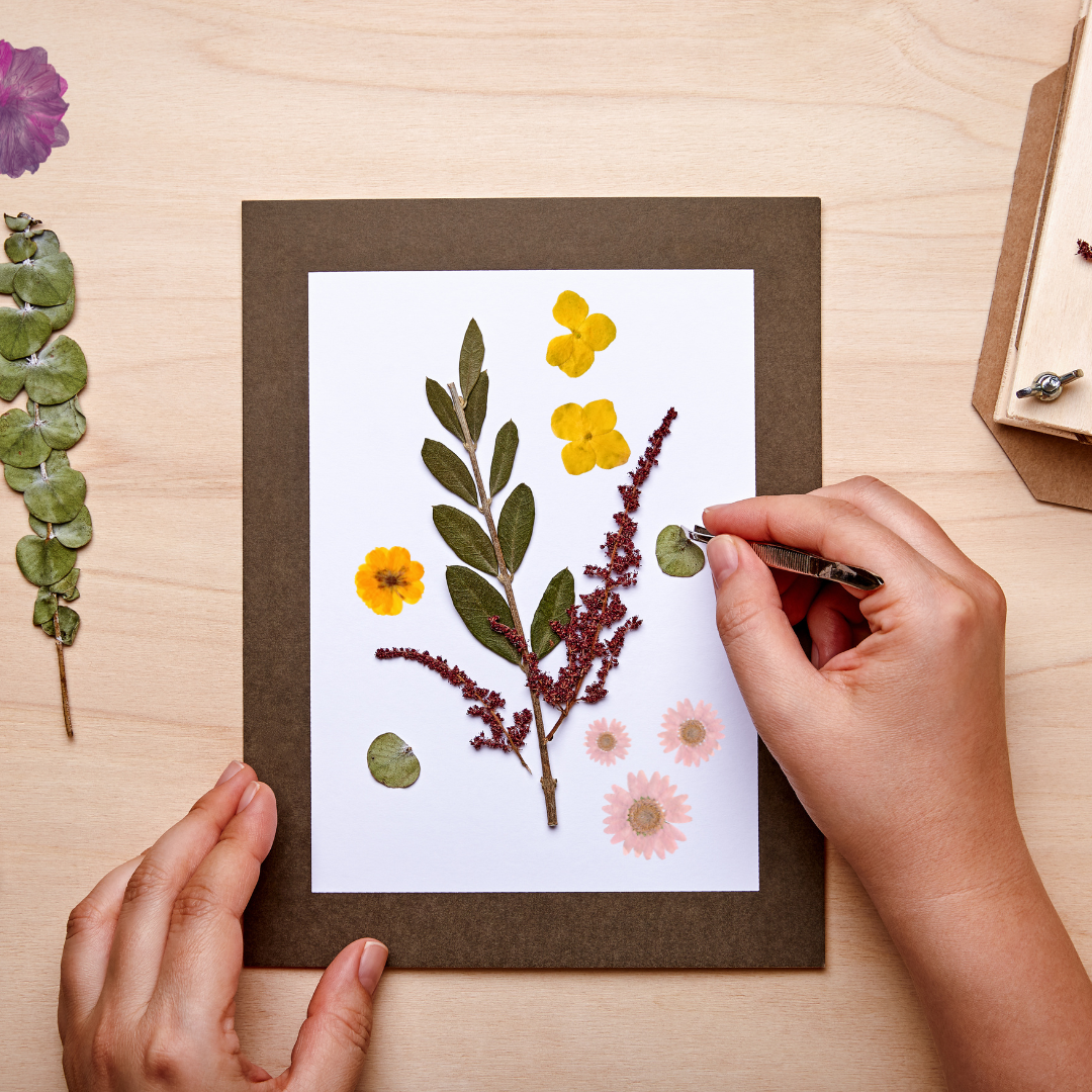 Hands placing dried flowers and leaves on a canvas