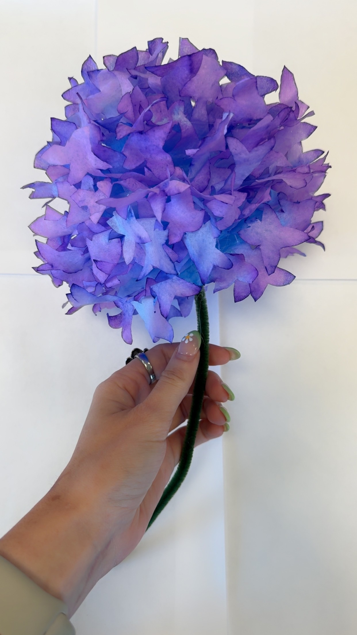 Coffee Filter Hydrangeas